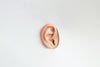 Protect Your Ears: How to Prevent Tinnitus and Keep Your Hearing Healthy